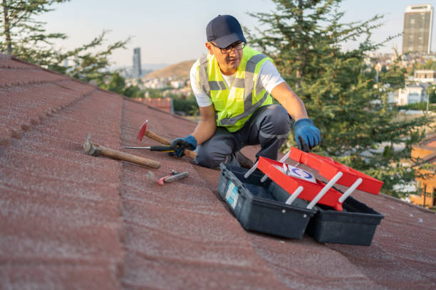 Best Hoarding Cleanup  in Sarcoxie, MO